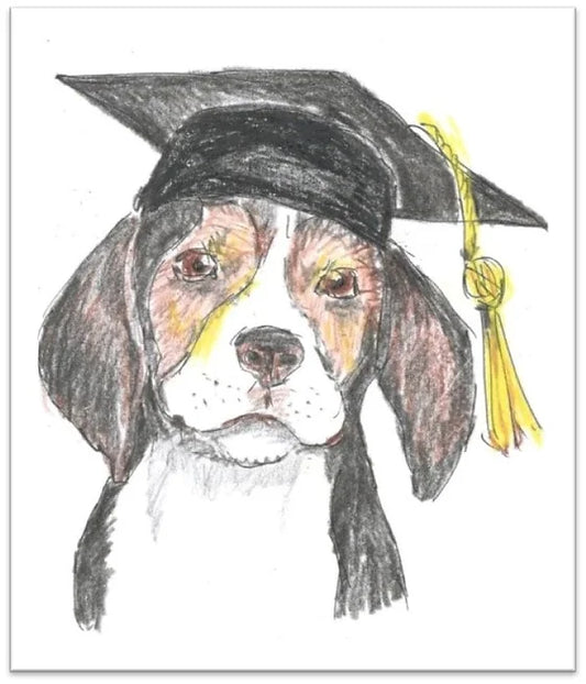 Preparing Your Dog for University: A Complete Guide