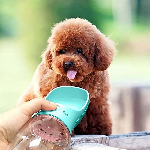 Dog&Go®  Water Bottle